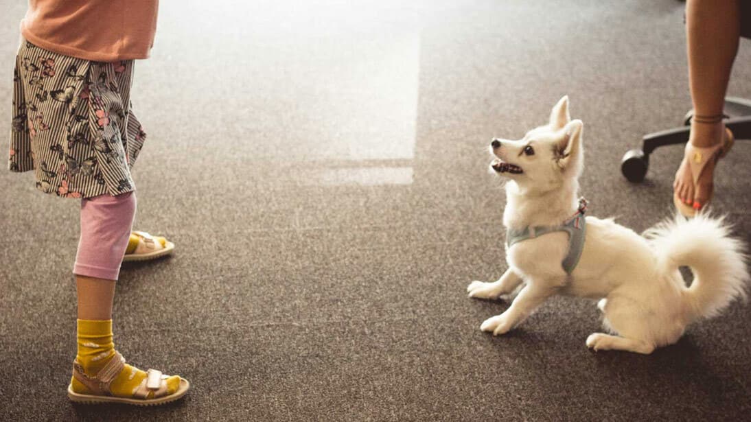 Familia y flexibilidad imagen 1