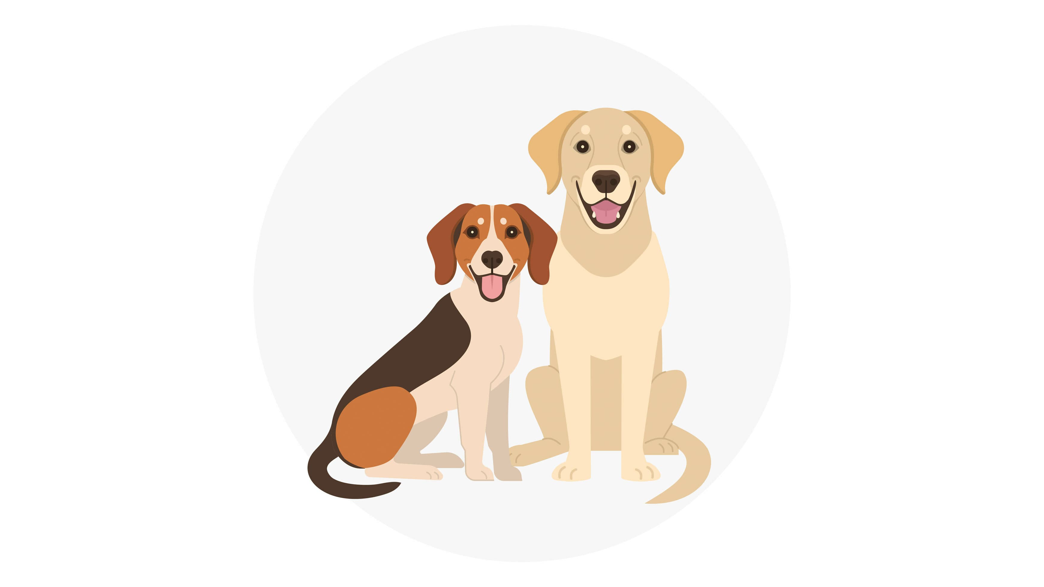 Avantage chiens au bureau